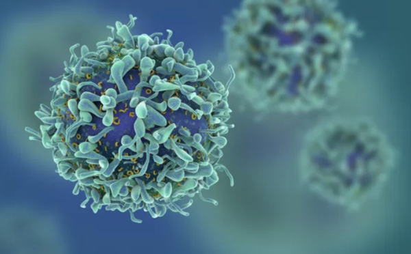 La Tanzanie enquête sur une mystérieuse maladie “transmissible” ayant déjà fait 5 morts