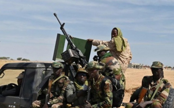 Niger: l'armée affirme avoir tué une vingtaine de "terroristes" près du Nigeria