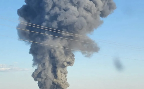 Etats-Unis: un incendie dans une ferme tue 18 000 vaches au Texas