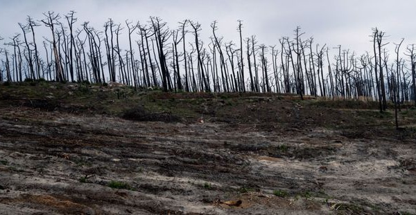 L'Europe s'est réchauffée d'environ 2,3 degrés depuis la période 1850-1900
