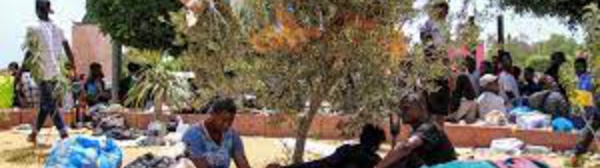 Vagues de chaleur : les températures frôlent les 50 °C en Tunisie