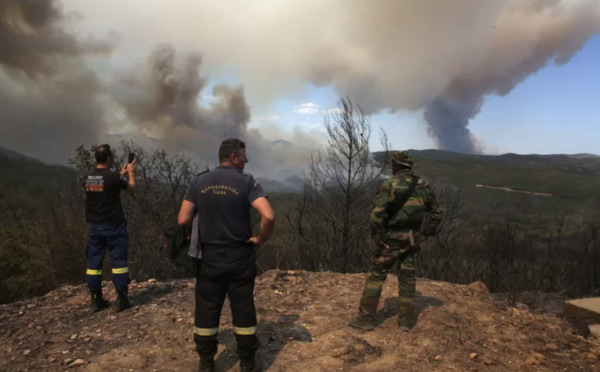 L’incendie dans le parc national grec de Dadia toujours “hors de contrôle”