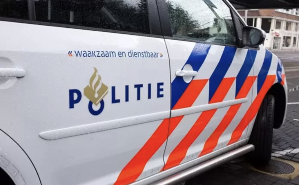 Un bébé tué par un chien aux Pays-Bas