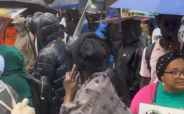New York : forte mobilisation de 1 million march for Sénégal contre Macky Sall