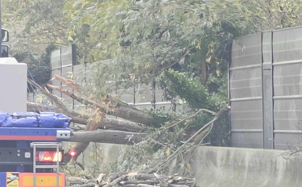 Tempête Ciaran en France : bilan réévalué à un mort et 16 blessés, de nombreux dégâts matériels