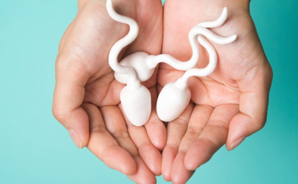 Le téléphone portable contribue à la baisse de la qualité du sperme (étude)