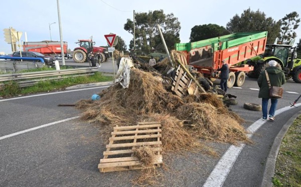 Agriculture: les États de l'UE reconduisent les mécanismes d'encadrement des importations d'Ukraine