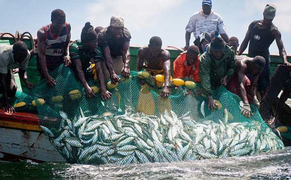 "Les plateformes pétrolières et gazières sont un manque à gagner pour les pêcheurs", (Moustapha Dieng)