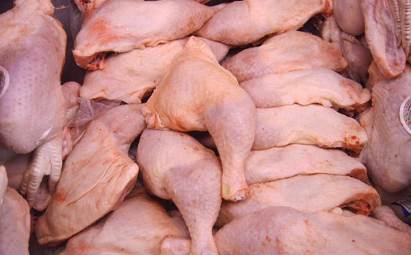Keur Madiabel :  Les aviculteurs alertent sur la vente des cuisses de poulets contaminés sur le marché
