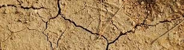 COP16 désertification: l'Afrique en première ligne face à la sécheresse