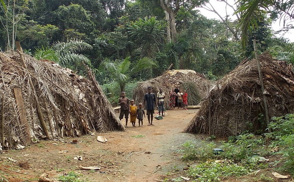 Cameroun: découverte d'une fosse commune dans une plantation vers Édéa