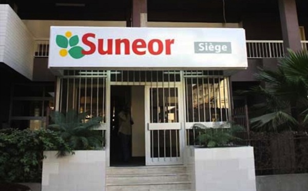 Mauvaise campagne de commercialisation de l’arachide : La Suneor au bord du péril.