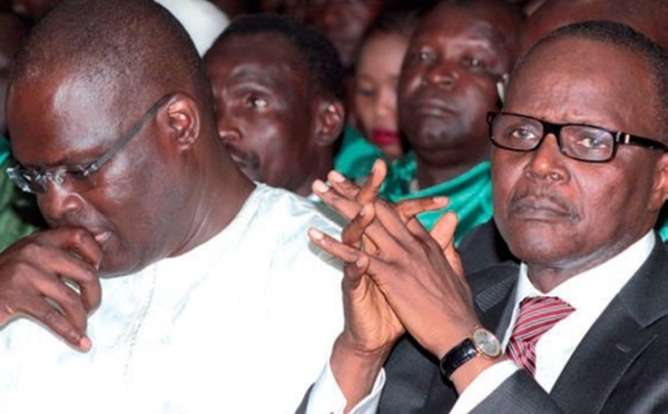 L’ultime combat de Tanor Dieng