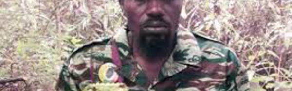 Crise en Guinée Bissau : Le Mfdc nie toute implication