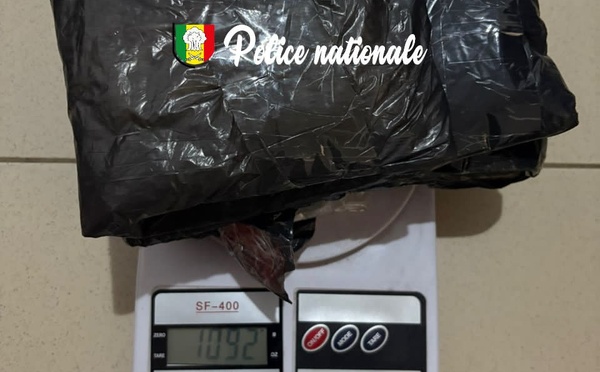 Trafic de cocaïne à l’AIBD : une mule interpellée avec un kilo de drogue