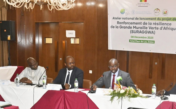 Grande muraille verte : le Sénégal va restaurer 80 000 hectares de terres dégradées