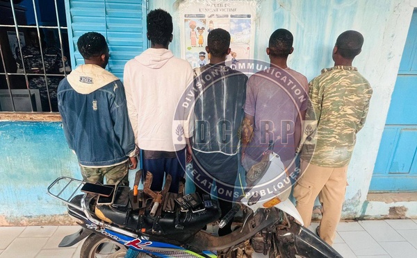 Vol de bétail: un réseau de malfaiteurs démantelé dans le secteur de Sangalkam