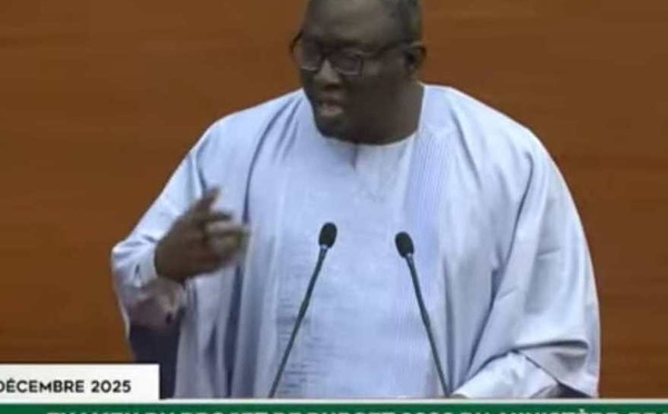 Budget du MEPC : Ayib Daffé alerte sur la persistance des inégalités territoriales
