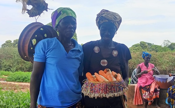 ​Sédhiou : le projet AVENIR transforme l'agriculture rurale par l'innovation et le leadership