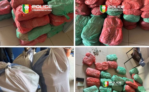 ​Keur Massar : 56 kg de chanvre indien saisis, un individu placé en garde à vue