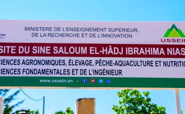 Université Sine-Saloum : le CROUS-SS ferme les restaurants de Kaolack et Kaffrine après des "actes de sabotage"