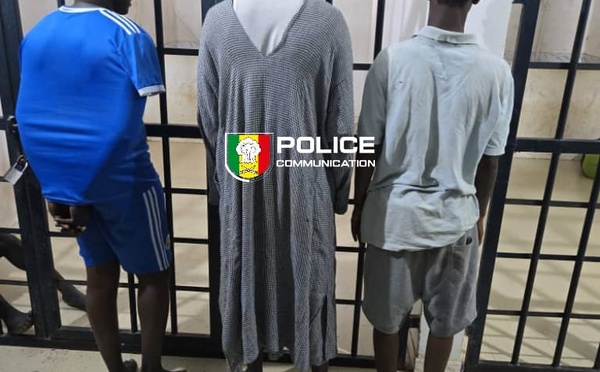 Un gang de voleurs de bétail démantelé entre Nioro du Rip et Kaolack