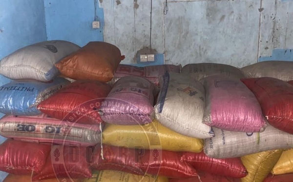 Kolda : un important réseau de faussaires démantelé par la gendarmerie