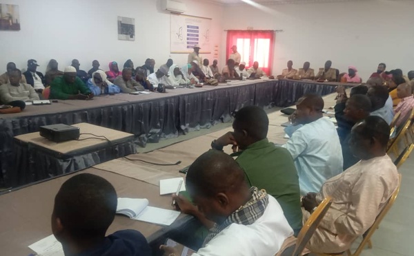 Kolda : un projet de développement de la filière palmier à huile officiellement lancé