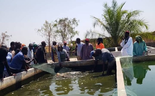 Coopération agricole : une délégation de Fafacourou en immersion au DAC de Séfa