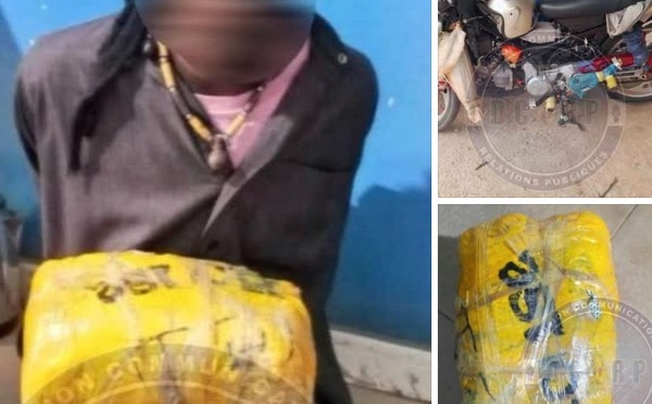 Sédhiou : un conducteur de moto arrêté avec deux kilos de chanvre indien dissimulés dans un sac