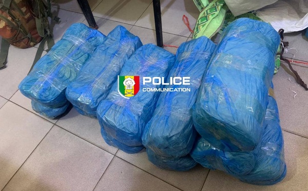 Fatick : 23 kg de chanvre indien saisis dans la forêt de Pakala