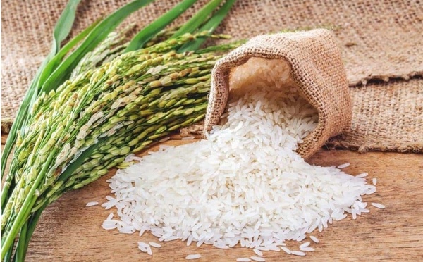 Sénégal : le gouvernement annonce «une subvention de 50 FCFA» pour l’achat du kg de riz produit localement