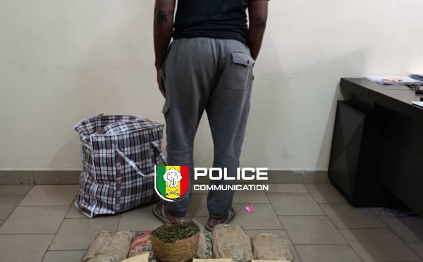 Dakar : un individu interpellé, 10,5 kg de chanvre indien saisis par la DIC à Sacré-Cœur