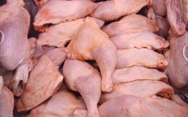 Importation illégale de cuisses de poulet : la filière avicole tire la sonnette d’alarme