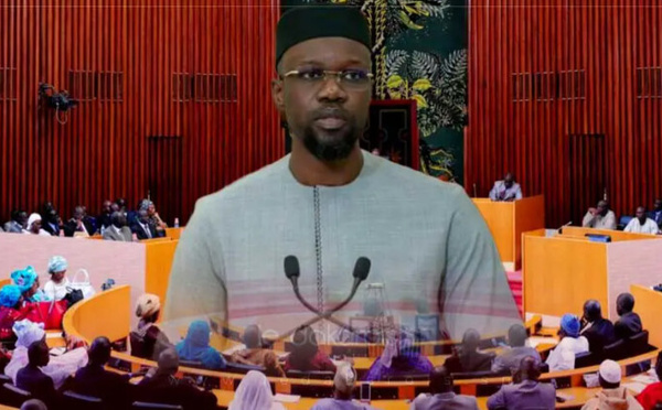 Politique : une loi pour limiter la dissolution de l'Assemblée ?