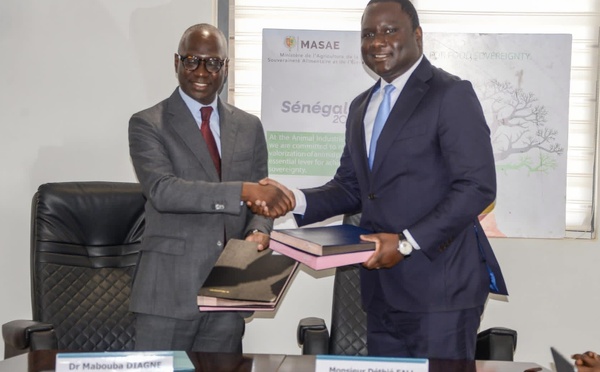 Infrastructures rurales : Signature d'une convention stratégique de 20 milliards FCFA