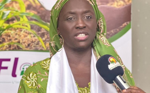 ​Sénégal : le numérique au service d’une agriculture résiliente face au changement climatique