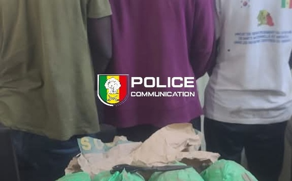 Lutte contre la drogue : la BRS de Fatick saisit 4 kg de chanvre indien et interpelle trois individus 