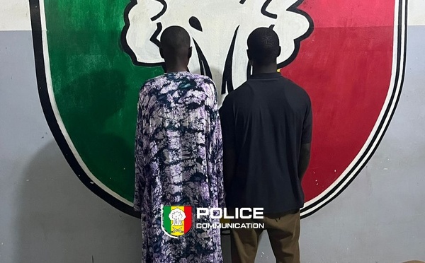 Kaolack : trois individus arrêtés pour "association de malfaiteurs et vol de bétails"