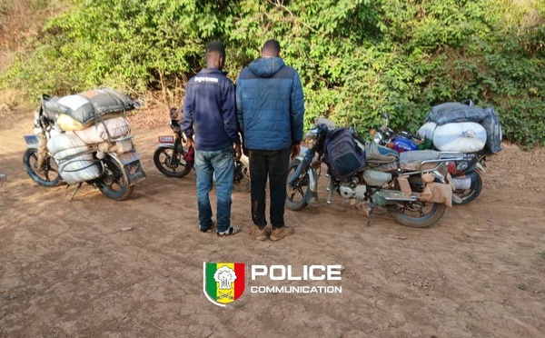 Kidira : Saisie de 650 kg de cyanure et de zinc destinés à l'orpaillage clandestin