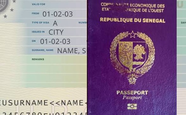 Escroquerie au visa : L'État lance l'offensive contre le site pirate « Senevisa.com« 