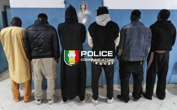 Saint-Louis : Le commissariat de Pikine démantèle un site d'abattage clandestin au foirail