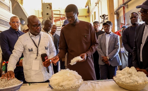 Filière cotonnière : le Président Diomaye Faye salue les progrès et promet un soutien accru aux producteurs