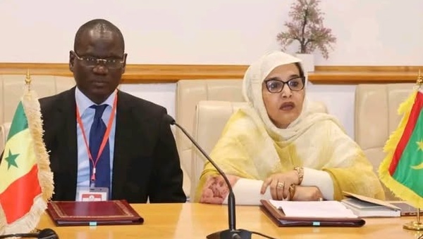 Nouakchott: le Sénégal et la Mauritanie signent plusieurs accords destinés à renforcer leur partenariat environnementale 