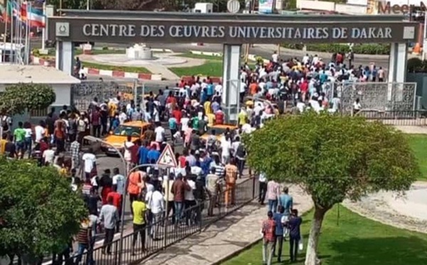 Enseignement Supérieur : Le SUDES-ESR UCAD réclame une révision de la loi sur les franchises universitaires