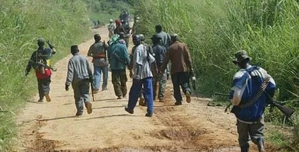 ​Santhiaba-Manjaque : 500 personnes attendues à un forum intercommunautaire pour la paix et le développement