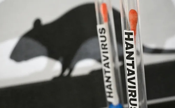 Hantavirus : le ministère de la Santé rassure qu'aucun cas n'a été enregistré au Sénégal