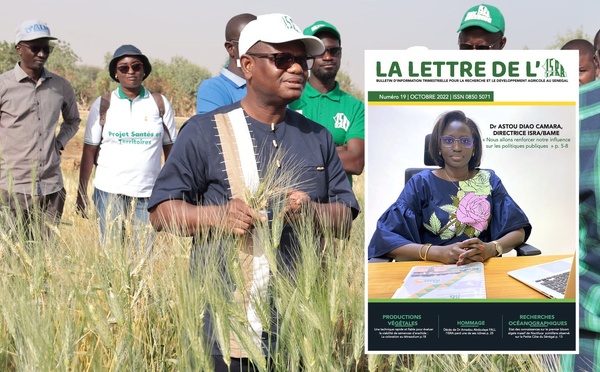 Souveraineté alimentaire : L’Intersyndicale de l’ISRA et de l’ITA alerte sur une crise budgétaire et structurelle « sans précédent »