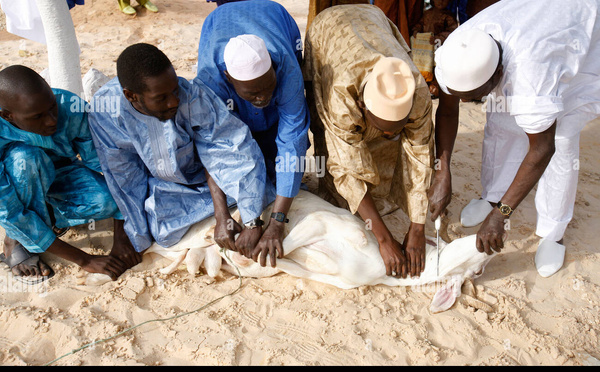Religions : La CMS annonce la célébration de la Tabaski 2026 pour le mercredi 27 mai au Sénégal