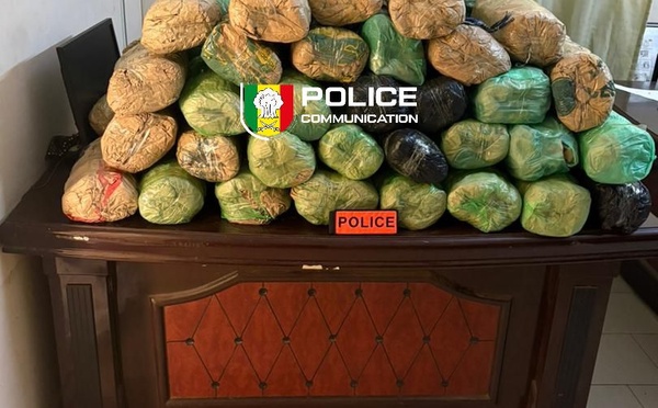 Fatick : 63 kilogrammes de chanvre indien saisis, des suspects activement recherchés par la BRS